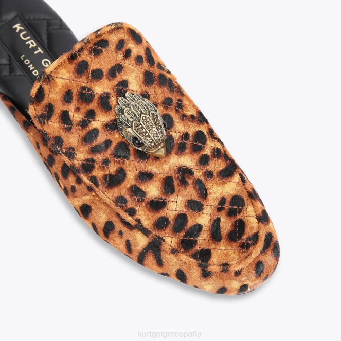 Kurt Geiger hombres mula londres holly eagle 2LPR657 | calzados marrón medio